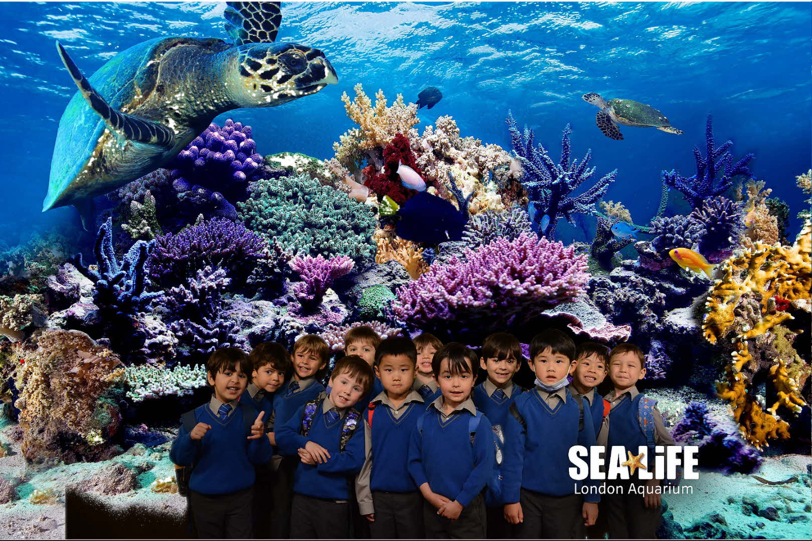 Reception visit the London Aquarium.