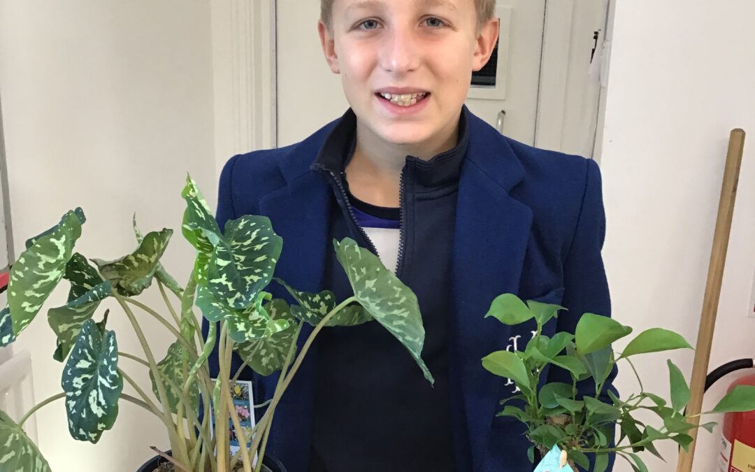 Eco-Schools Green Flag Award